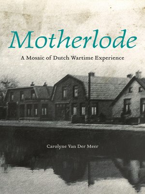cover image of Motherlode
